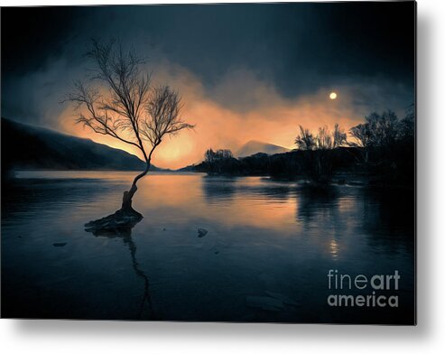 Llanberis Metal Print featuring the photograph Lone Tree Snowdonia by Adrian Evans
