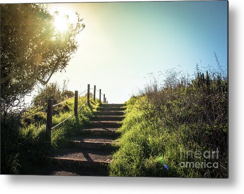Autumn Metal Print featuring the photograph Lonely footpath leading up the stairs in the sunset by Amanda Mohler