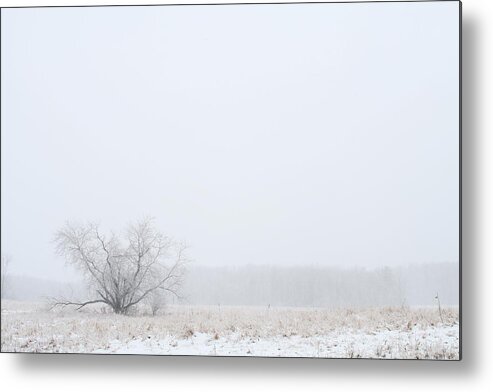 Winter Metal Print featuring the photograph Lonely by Monroe Payne