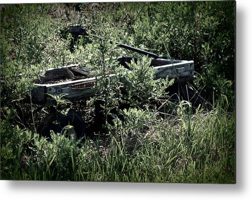 Toy Metal Print featuring the photograph Lonely Wagon by Susie Weaver