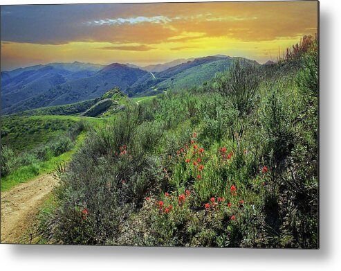 Simi Valley Metal Print featuring the photograph Long Canyon Sunset by Lynn Bauer