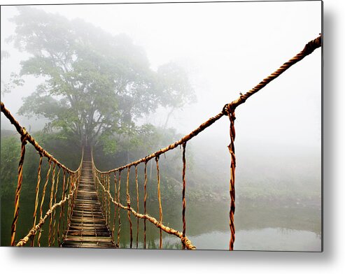 Jungle Journey Metal Print featuring the photograph Long Rope Bridge by Skip Nall