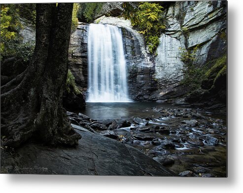 Waterfall Metal Print featuring the photograph Looking Glass Falls by C Renee Martin