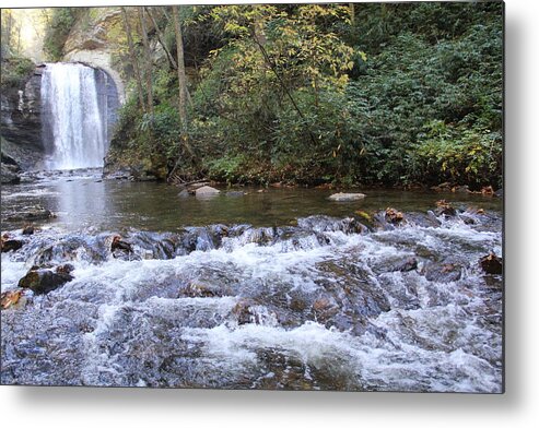 Waterfalls Metal Print featuring the photograph Looking Glass Falls downstream by Allen Nice-Webb