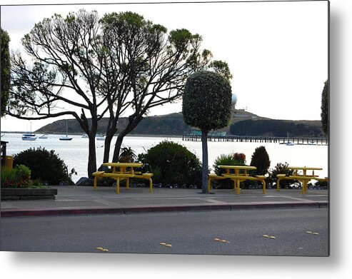 Pillar Point Harbor Metal Print featuring the photograph Looking out on Pillar Point Harbor by Carolyn Donnell