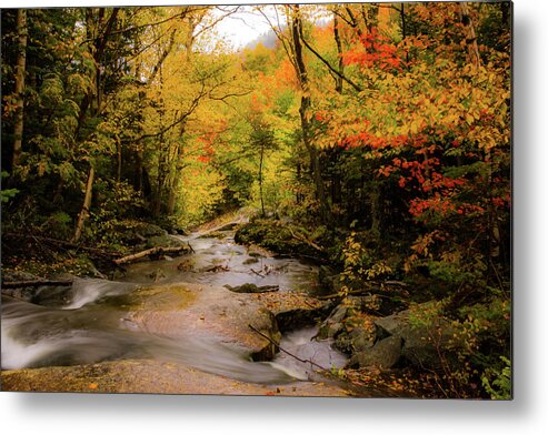 #jefffolger Metal Print featuring the photograph Lost River Fall Colors by Jeff Folger