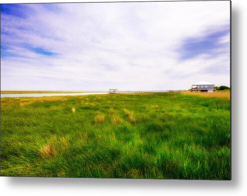 Gulf Of Mexico Metal Print featuring the photograph Louisiana Marsh by Raul Rodriguez