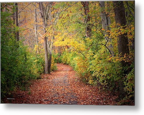 Nature Metal Print featuring the photograph Lovely Autumn by Mikki Cucuzzo