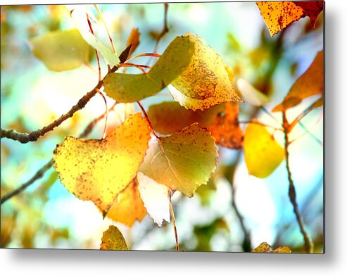 Leaf Metal Print featuring the photograph Lovely leaves by Toni Hopper