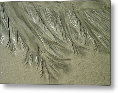 Beach Metal Print featuring the photograph Low Tide Abstracts IV by Cate Franklyn
