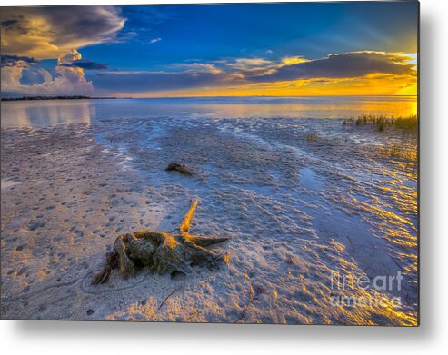 Clouds Metal Print featuring the photograph Low Tide Stump by Marvin Spates