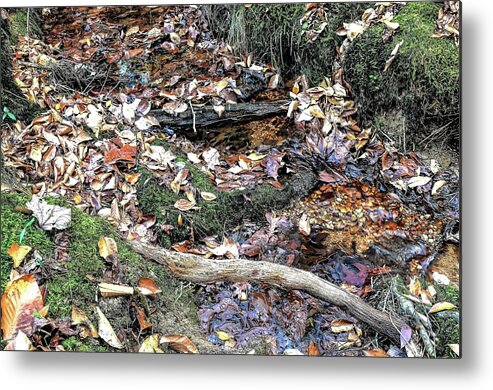 Water Metal Print featuring the photograph Low Water Creek by Tom Horsch Photography