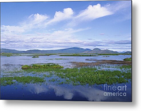 Blue Metal Print featuring the photograph Lower Klamath by Greg Vaughn - Printscapes