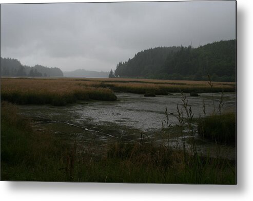 Low Tide Mist Willapa Metal Print featuring the photograph Lowtide Mist Willapa by Dylan Punke