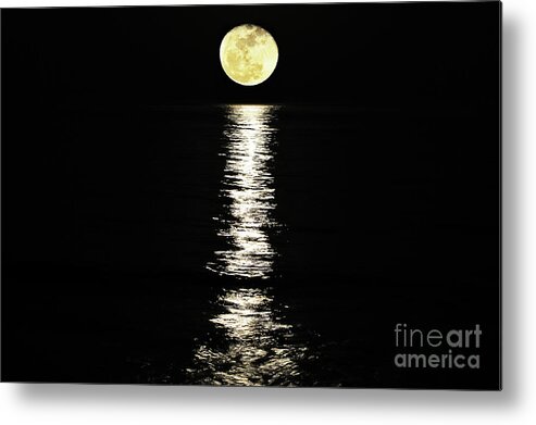 Moon Reflection Metal Print featuring the photograph Lunar Lane by Al Powell Photography USA