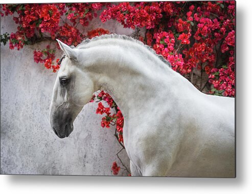 Russian Artists New Wave Metal Print featuring the photograph Lusitano Portrait in Red Flowers by Ekaterina Druz