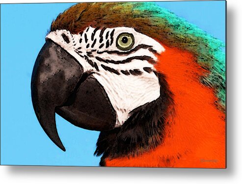 Macaw Metal Print featuring the painting Macaw Bird - Rain Forest Royalty by Sharon Cummings