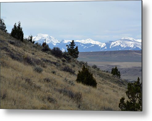 Madison Buffalo Jump State Park Metal Print featuring the photograph Madison Buffalo Jump State Park in Spring by Bruce Gourley