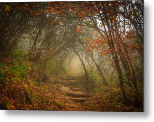 Asheville Metal Print featuring the photograph Magic Forest by Joye Ardyn Durham