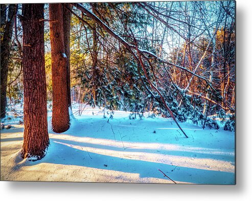 Magic Of Winter Metal Print featuring the mixed media Magic of winter 4 by Lilia S