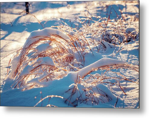 Magic Of Winter Metal Print featuring the photograph Magic of winter 5 by Lilia S