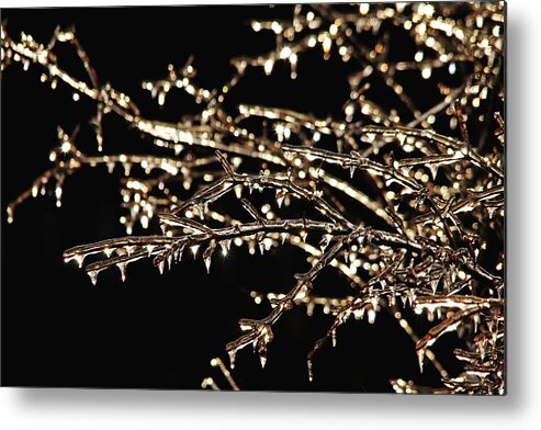 Nature Abstract Metal Print featuring the photograph Magic Show by Debbie Oppermann