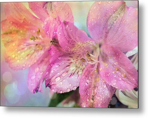 Pink Metal Print featuring the photograph Magical Lilies by Lilia S