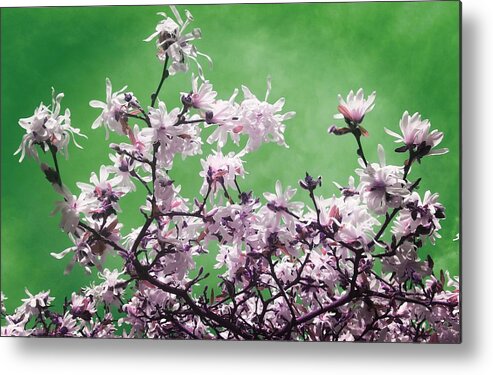 Magnolia Metal Print featuring the photograph Magnolia Sky In Emerald Green by Rowena Tutty