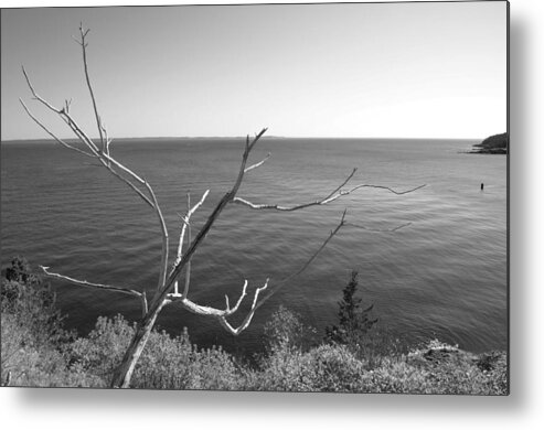 Maine Metal Print featuring the photograph Maine Coastline by Corinne Rhode