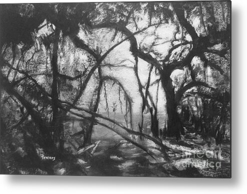 Florida Coast Metal Print featuring the drawing Mangroves by Moonlight by Mary Lynne Powers