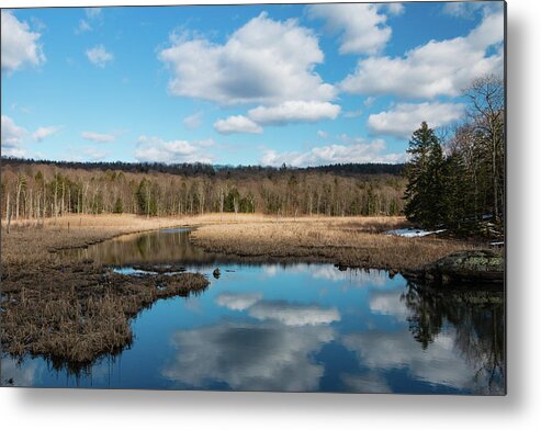 Nature Metal Print featuring the photograph March Afternoon at Black Creek by Jeff Severson