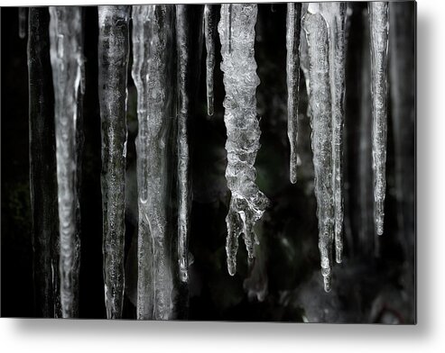 Icicles Metal Print featuring the photograph March Icicles by Mike Eingle