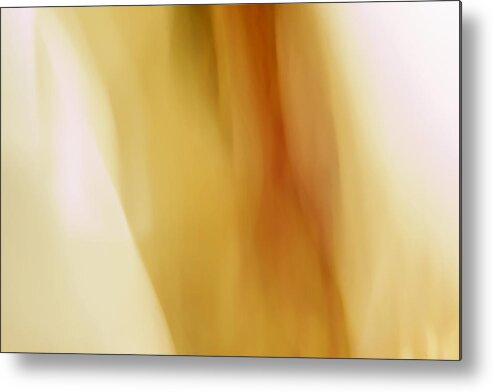 Abstract Metal Print featuring the photograph Mariola by Margaret Denny