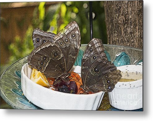 Arte Metal Print featuring the digital art Mariposas En Almuerzo by Sonia Morera