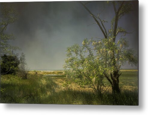 Coastal Scene Metal Print featuring the photograph Marsh Pathway by Mary Clough