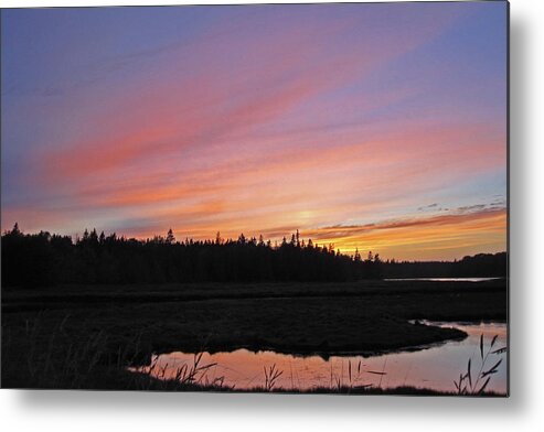 Nature Metal Print featuring the photograph Marsh Sunset by Tasha ONeill