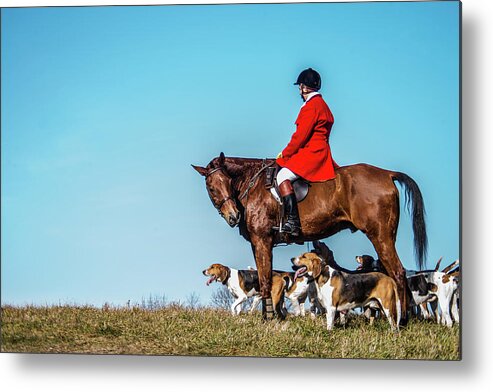 Foxhound Metal Print featuring the photograph Matlock and friends by Pamela Taylor