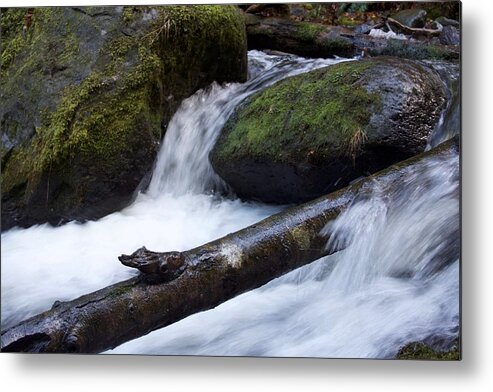 Mccord Log Motion Metal Print featuring the photograph McCord Log Motion by Dylan Punke