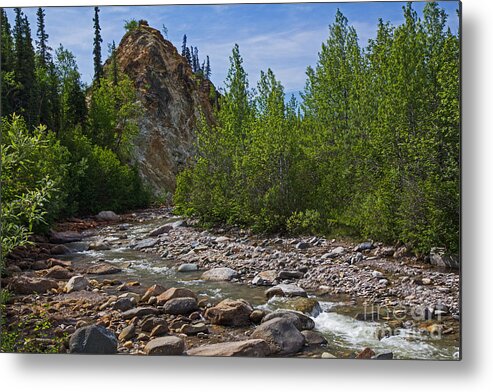 Mckinley Trail Metal Print featuring the photograph Mckinley Trail by Robert Pilkington