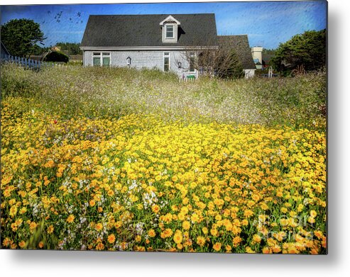 American Metal Print featuring the photograph Meadow House by Craig J Satterlee