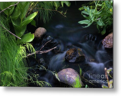 Water Metal Print featuring the photograph Meadow Stream by Anthony Michael Bonafede