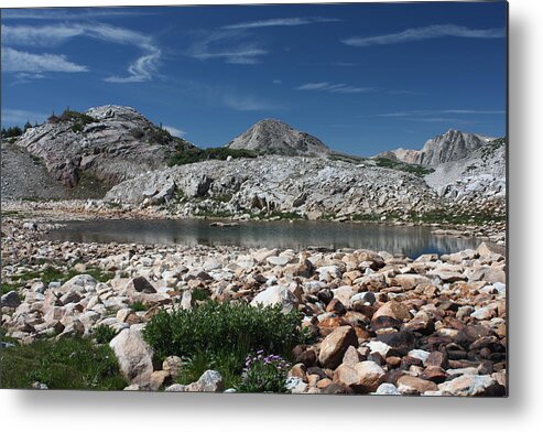 Snowy Range Pass Wyoming Medicine Bow Landscape Metal Print featuring the photograph Medicine Bow Vista by Barbara Smith-Baker