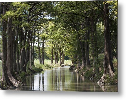 River Metal Print featuring the photograph Medina River by Brian Kinney