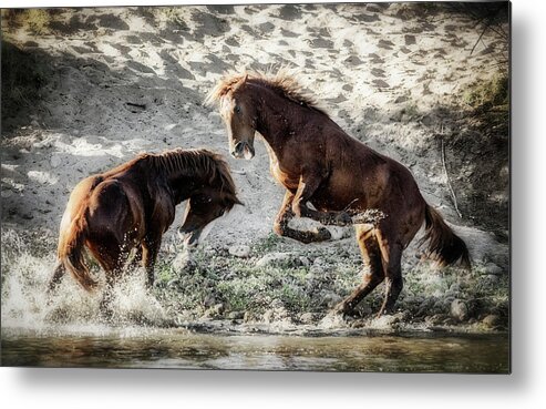 Wild Horses Metal Print featuring the photograph Meeting On The River by Saija Lehtonen