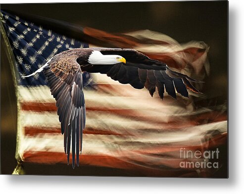 Eagle Metal Print featuring the photograph Message Without Words by Dennis Hammer