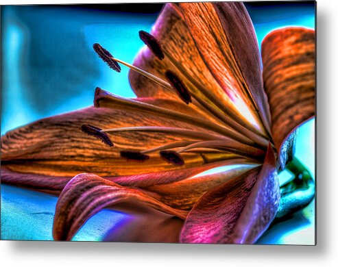 Lily Metal Print featuring the photograph Metallic Nature by Joetta West