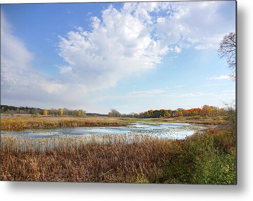 Landscape Metal Print featuring the photograph Michigan Marshland by Kathi Mirto