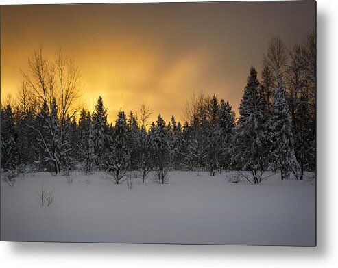  Metal Print featuring the photograph Mid-winter glow by Dan Hefle