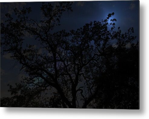 Moon Light In Redding California Metal Print featuring the photograph Midnight Blue by Athala Bruckner