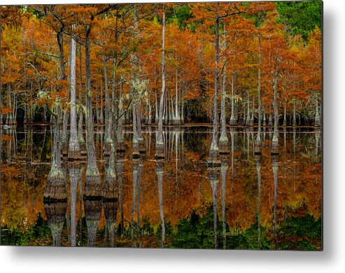 Mill Pond Metal Print featuring the photograph Mill Pond Reflections by Eric Albright